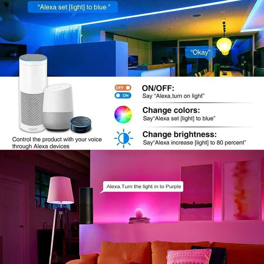 Sa10ddf28c2174fcda45a0dd9e2713a77W